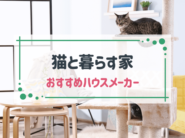 猫と暮らす家づくりが得意なハウスメーカー7選｜猫向けの設備も紹介